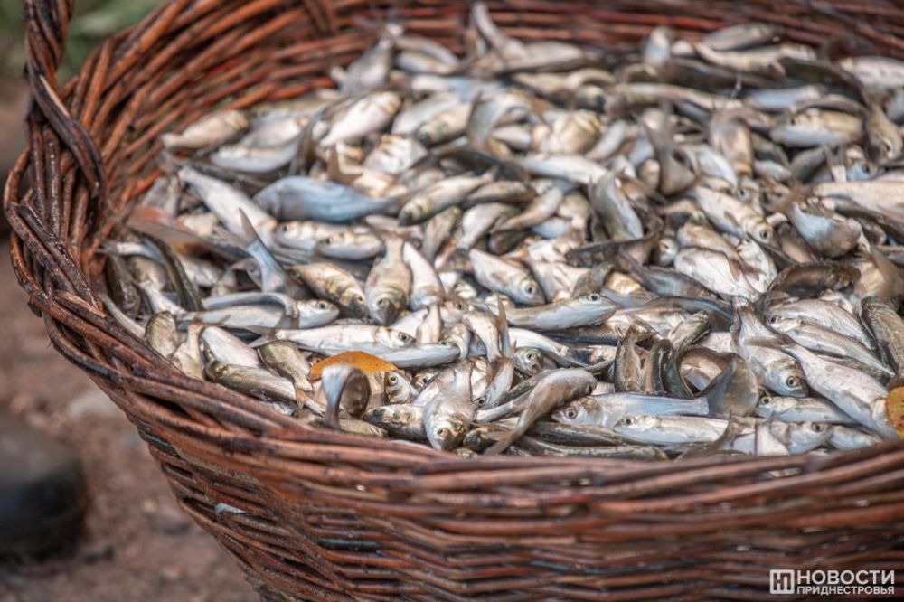 ����� 6,5 ��� ��� ��������� � ������ ������������� � ������� ����