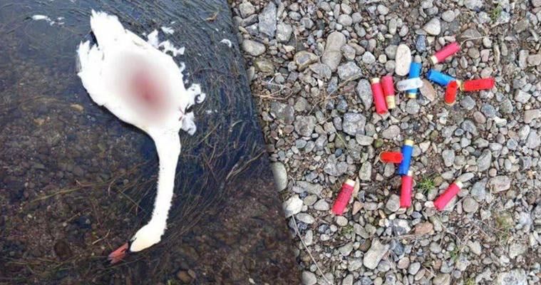 �� ����������� ������ ������� ���-�� ��������� �������, ������� ���� �� �������