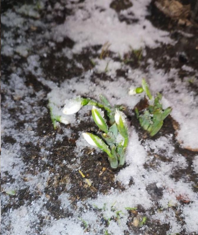 � ��������� �����, ���� �������, ���������� �� ��� ����� �����������!