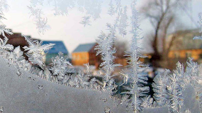 ���� �� ��� �����. � ������������� �� ��������� ������ ����������. � ���� �� ����� ��������� ��������� �� -8�C