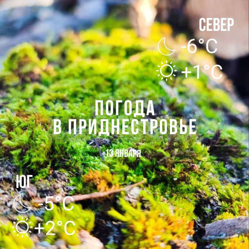 ���� � �� +2��. ��� �������