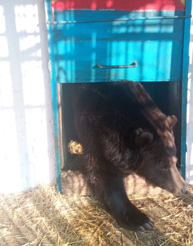 � ������������ �������� �������� ������� �������� �������� ����