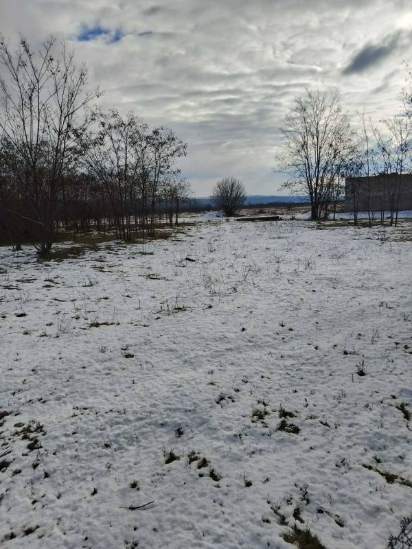 Больше снега на этой неделе не будет