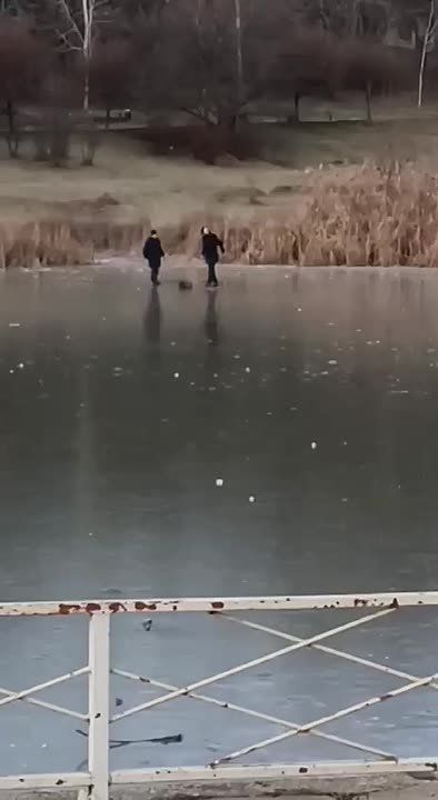 ��� ����� �� ����� � �������������� ����� ��� �� ����������� 12-������ ���������