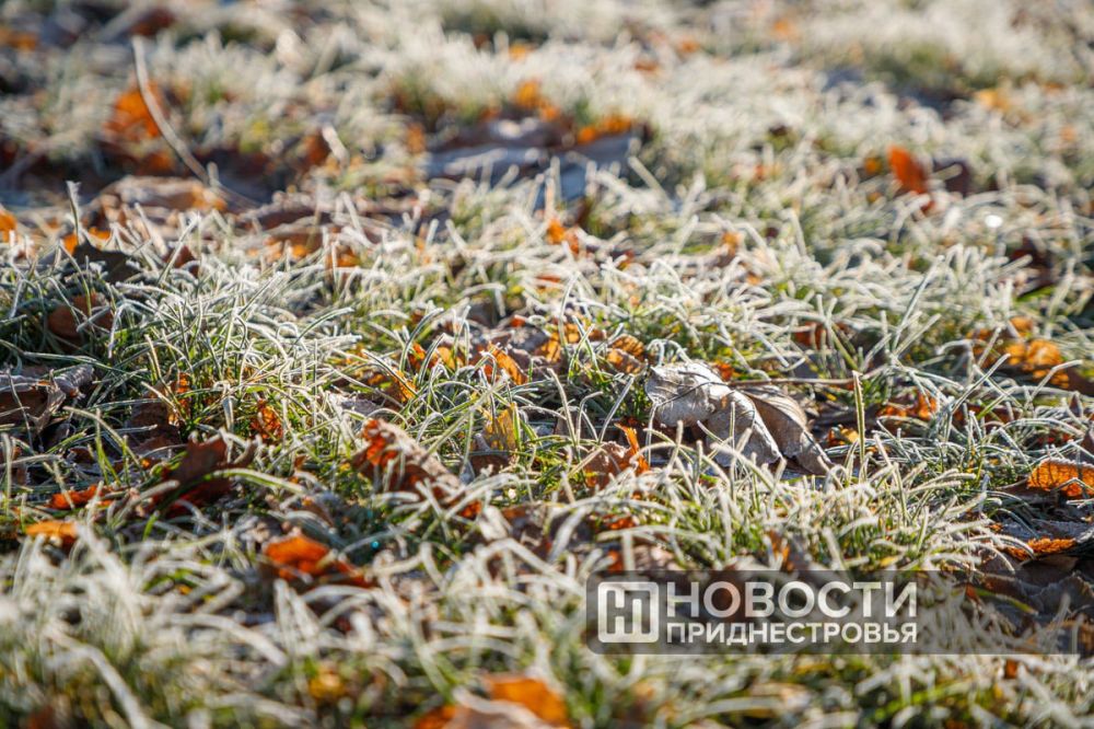 ��������: ������� ����� ����������� ��������� �� -9�C