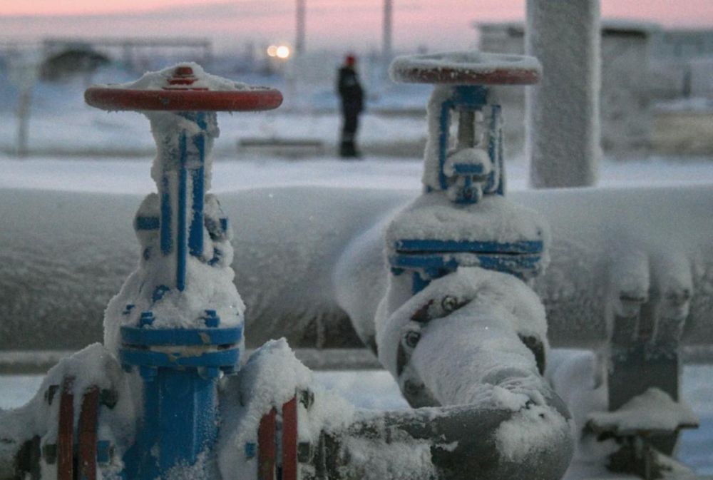 ������ ������� ������������ �������������