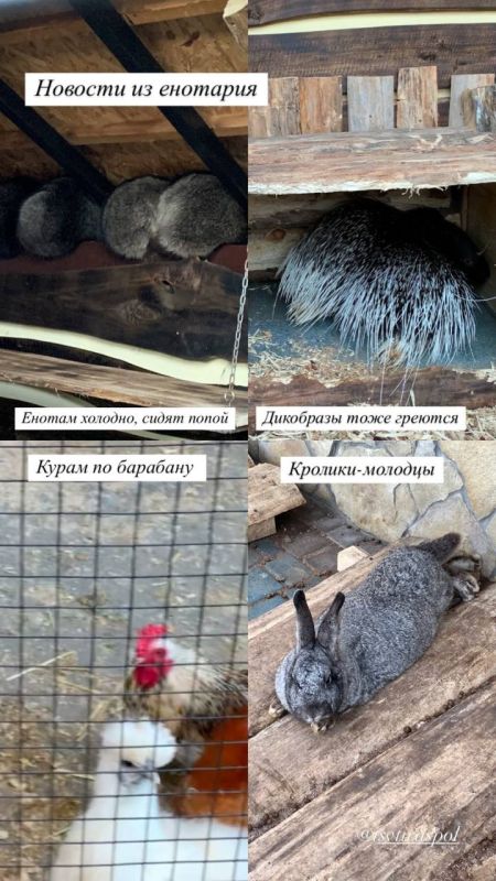 ������� �� ��������. ������ �������, ����� ������. ��������� ���� ������� ���� �� ������. ����� ��-��������. ������� ���� ����� �������� ����