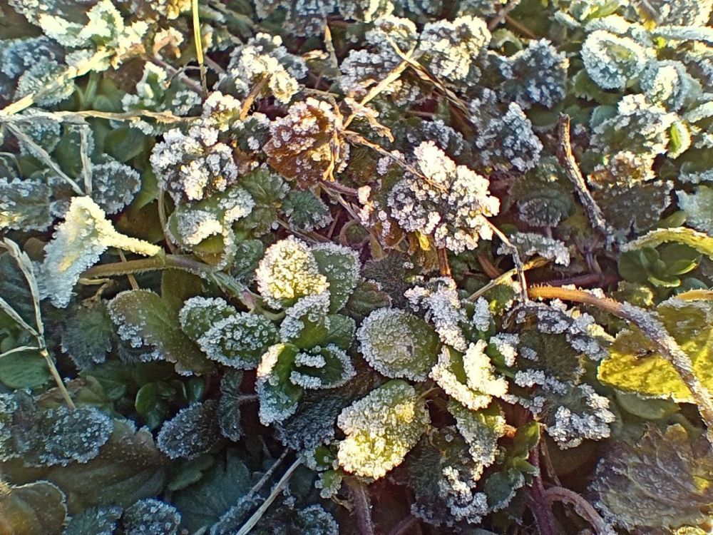 �������-�������: �� ������� - ������� ������ � �������� ��������