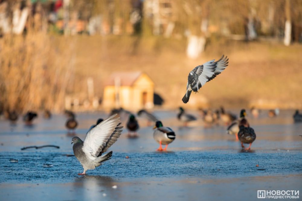 �������� ������ ����� ����� ����� �� ����� ����� ������� �� �� ����� ��������������� � �������������