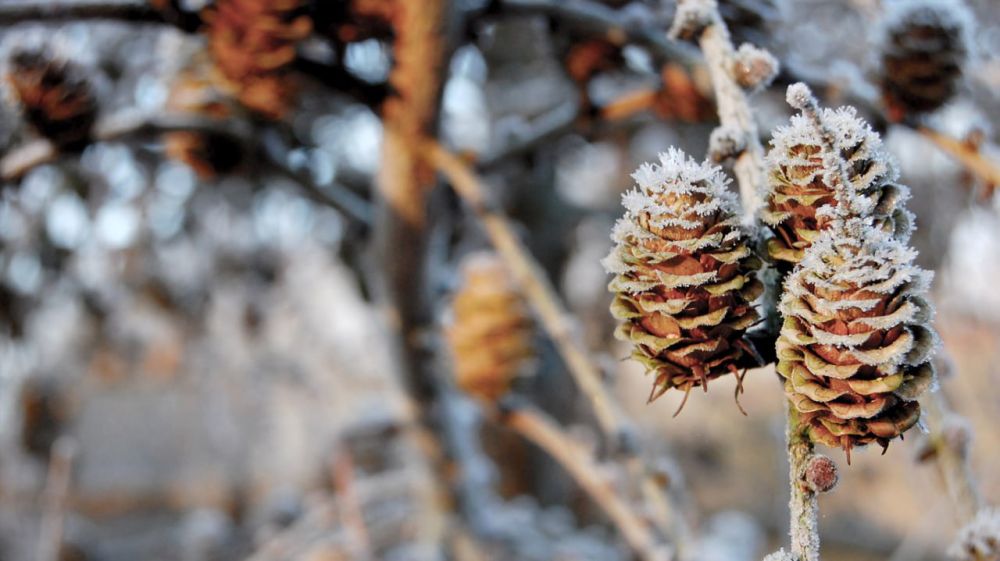 �� +10�� � ��� ������� ��������� � ������ �������� ��������� ������