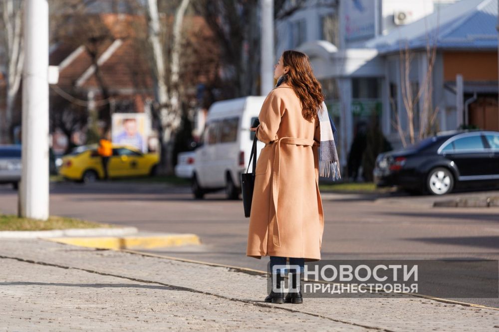 � ������ ��������� ������ ������� ���������