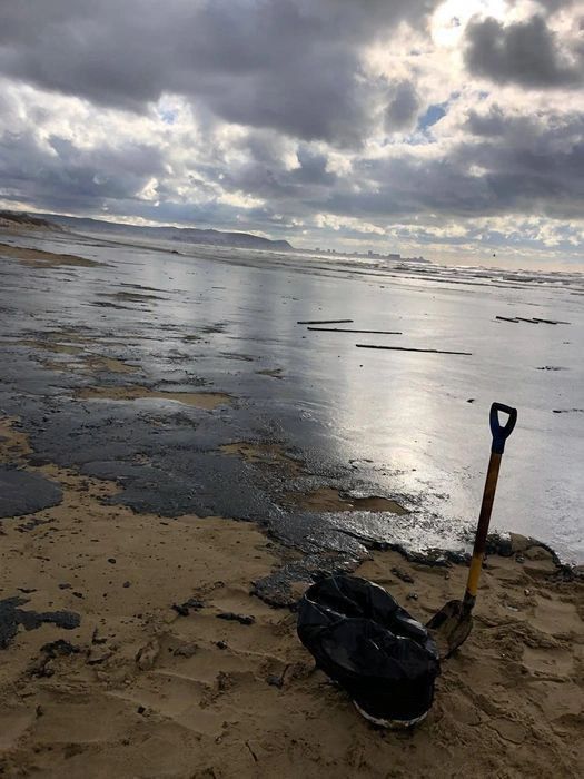 ��������� ����� ������ �� ������ �� ������ ���� �� ������� ��� � ���