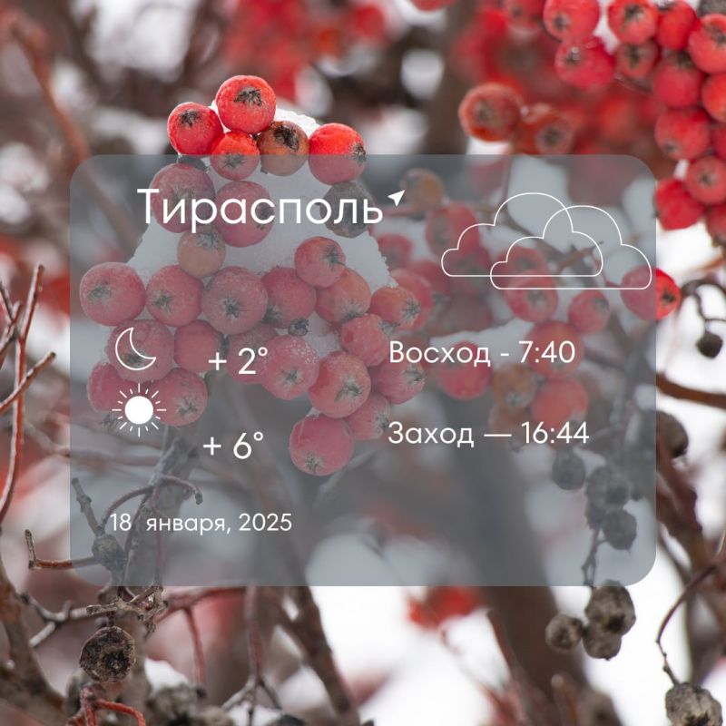 ���� ���� � ������� �������: