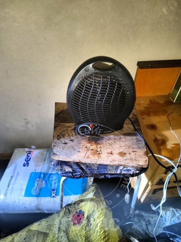 � �������� ���� �� ������ ������� ���������