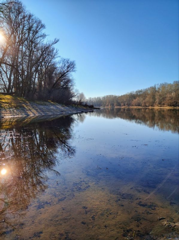 ��� ����� ������ ���� �� ��������, � ������� ���������� ������� ���������