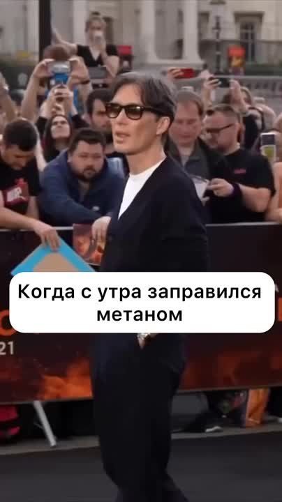 ������������ ��������