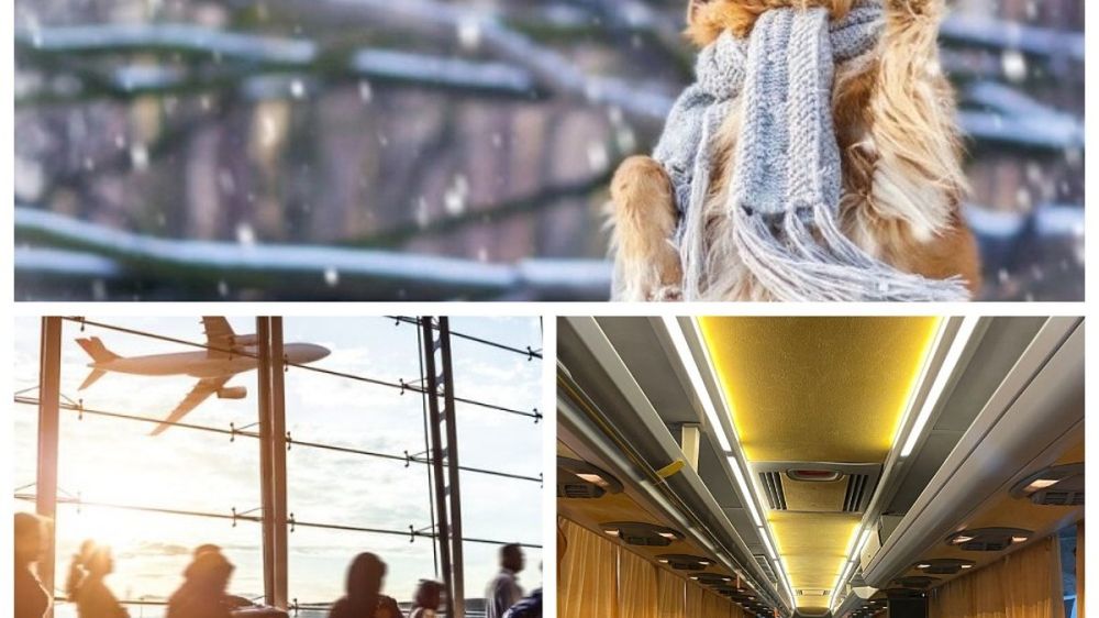 ���-5 �������� � ������� 4 ������� 2025: �� ������� ���� ����� - �� -10 ��������, �� ��� �����; �������� �������� �������� 127 ��������� �� ������������� ������������� ��������� - ��� ���������; ��� ��� ������� ������� �� ������ � �������� � �������