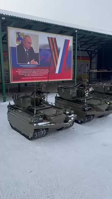 � ������� ������������ ������������ ���� ������