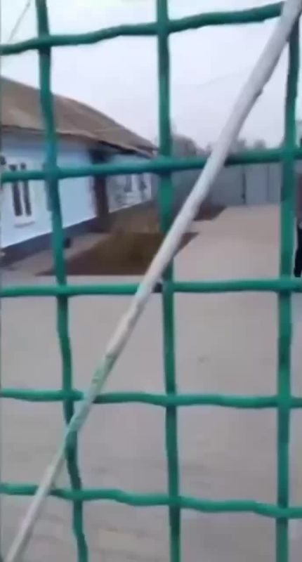 ��� � �������� "������"