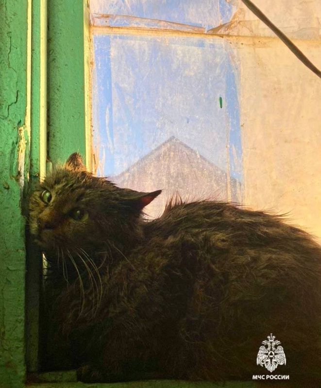 � ��������� ��� ������� ����� � ��������!