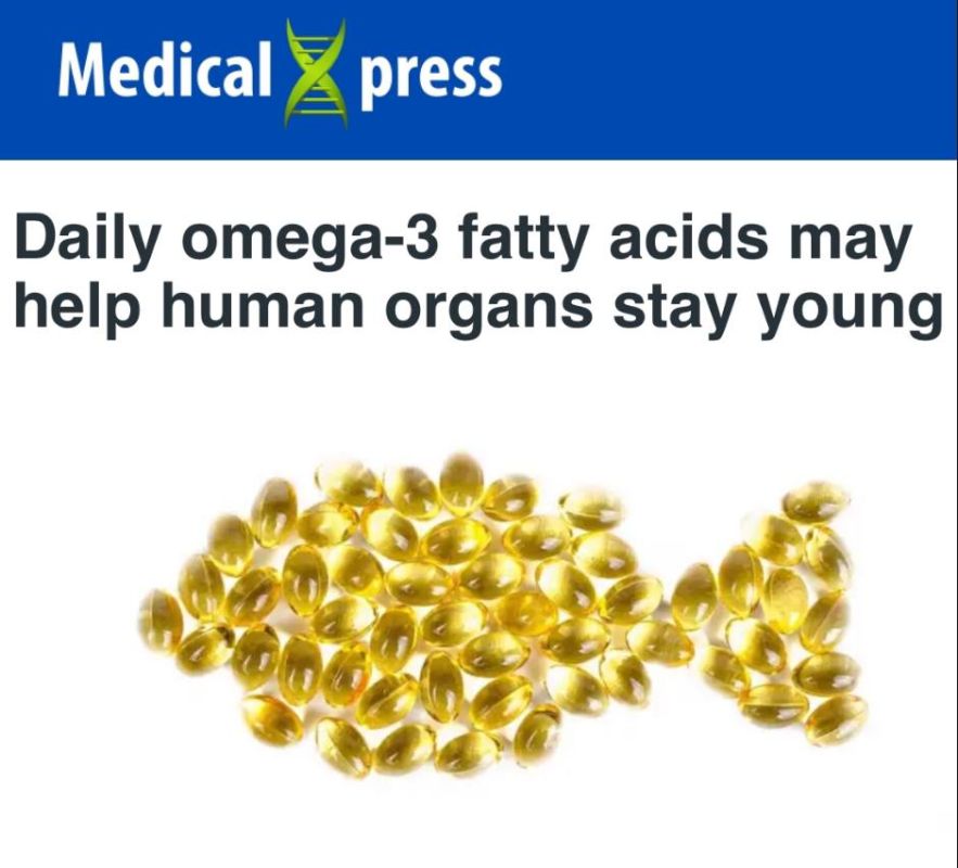 ����������� ������������ �����-3 ������ ������ ����� ������ ��������� ������ ��������: ���������� ������� ������������ �������