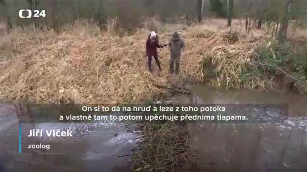 � ����� ����� �� 2 ��� ��������� �������, �������� ������� ����������