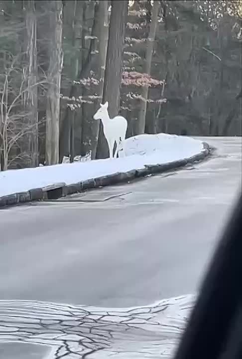 �������� ��������: � �������� �������� ������� ������������ ����� � ����� �������� ����������� ��� �� 30 000 ������