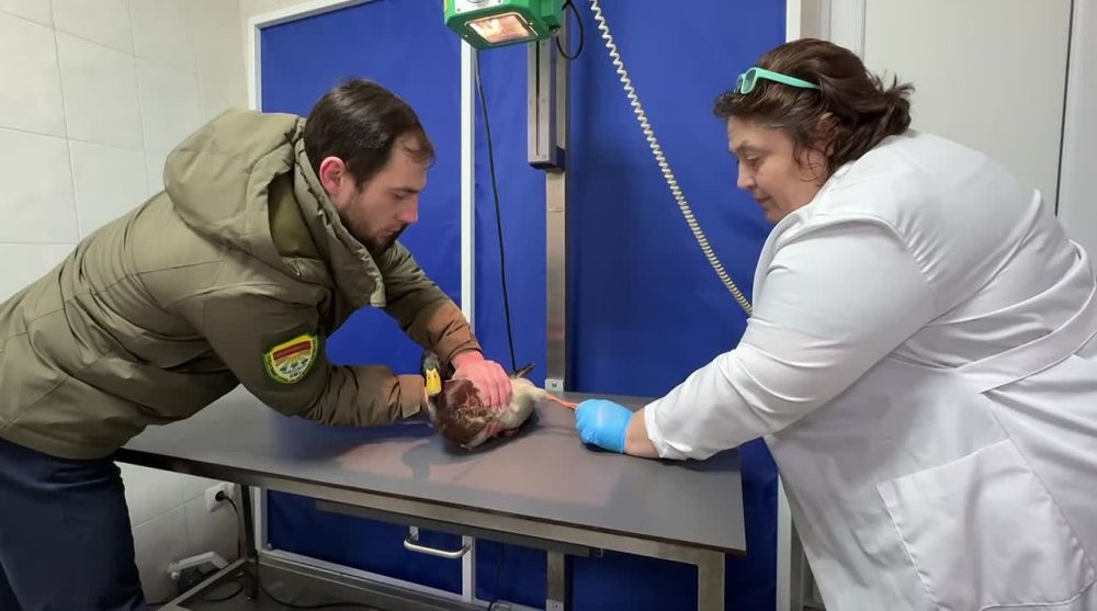 ���� �������� �����. ���������� �������� ��� � ��������� ��� ��������. ��� ��� ������� ����, ����� ����������� ����. � ����� ���� ��������� �� �����. ���������, ��� ������� ������������