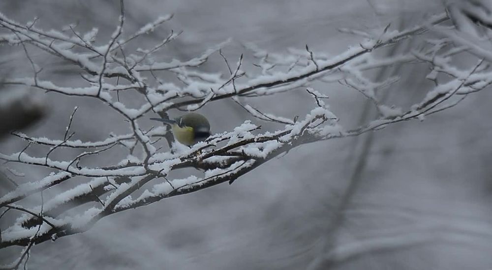 ���� ����� �������� �� ������� ������� ������-����������� ������ � ������� �������������