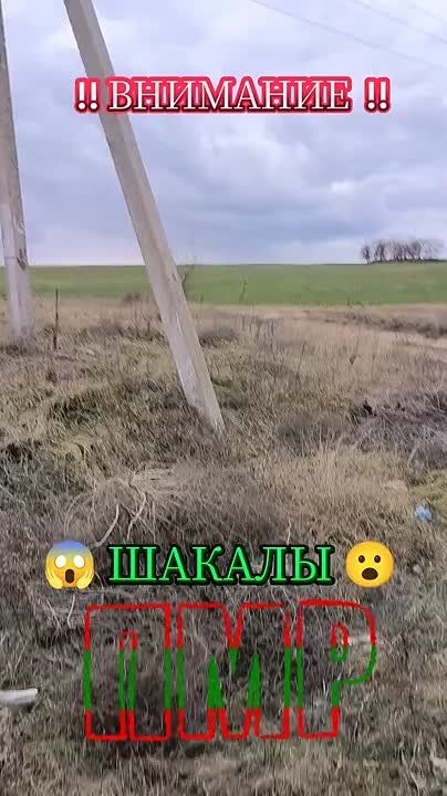 � ���-���� ��������� ����� � ������� (����� ��), ������� ������ ����� ����� � ����������