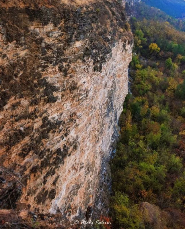 ������ � ������. ���� ������� ��������