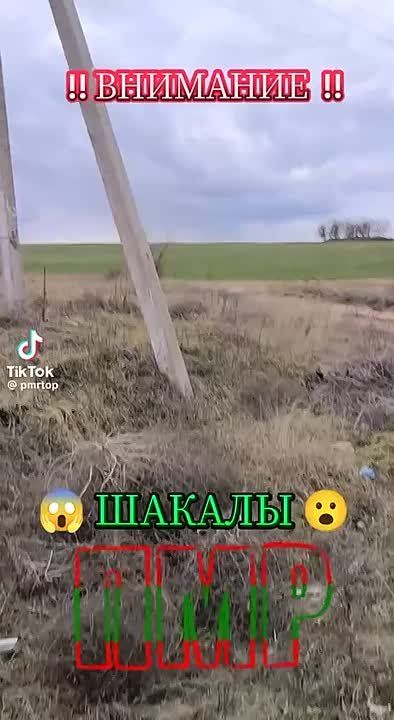 ����� ������ �� �������� ��������