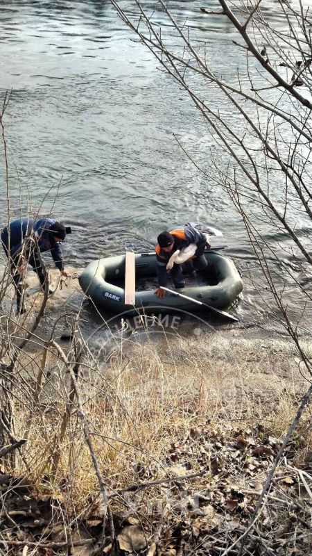 В Чобручах на Турунчуке спасли лебедя
