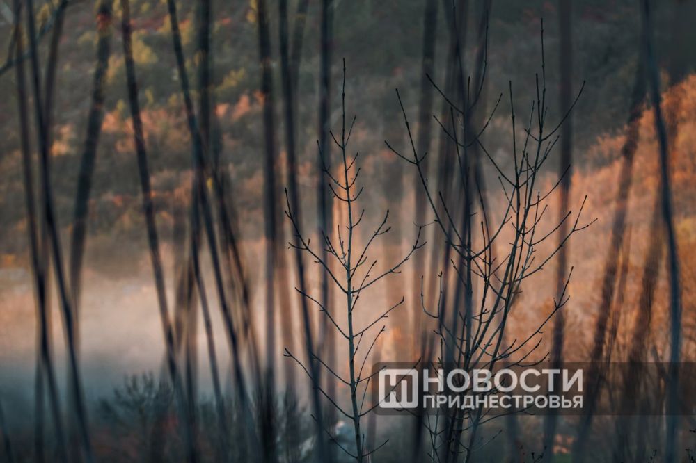 ������ ����� � ������� ���� ���������� � ������������� �� ��������� ������