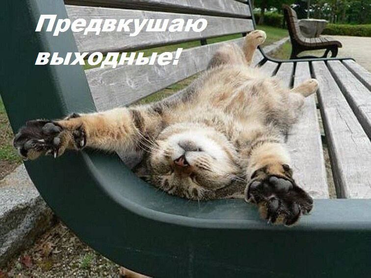 ������ ����, � ������� ����� ���� �� ����������� � ���������