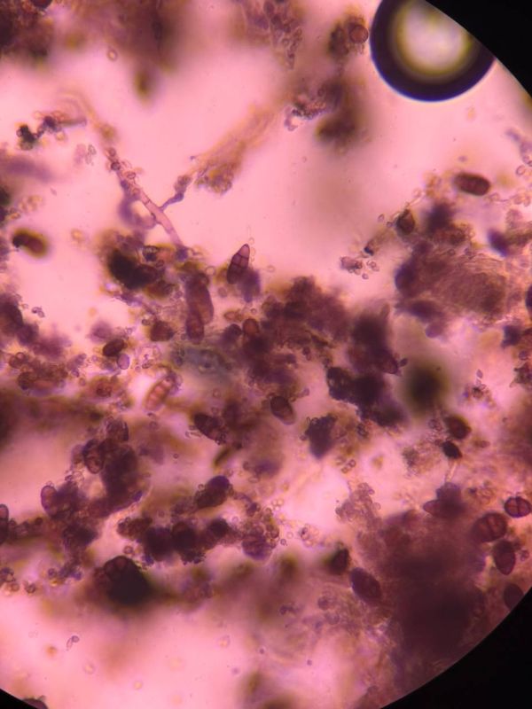 �� ���� ������� ��� �����������, ������� ������������ � ����� �� ���������� ������� �� ����� �������������