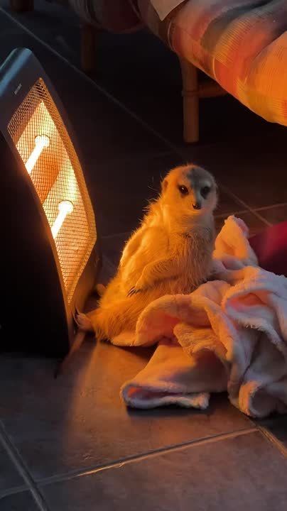 �� �� ��, ����� �����!