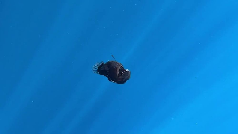 ������� ������� � ����������� ���� ����� ���������� ������� �������� �������������� ���������, ���, ��� ��� ��� ��������, �������� �����, ����� ��� ��������