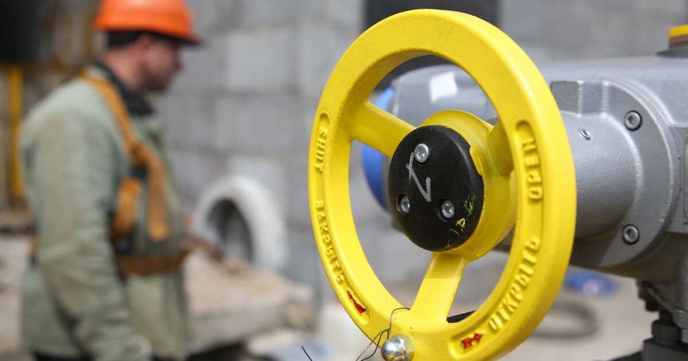 ��� �������������: ���������� ��������� �� ������ ������������ ����������