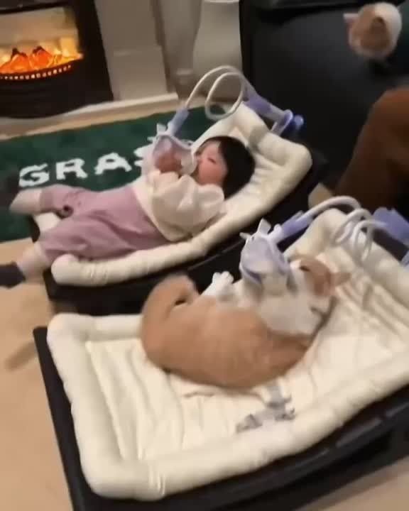 ����� ������ �������, �� � ����� ��������� ���� �� �������: � ������ ���������������� �� � � ��������� �����, � ������� �����