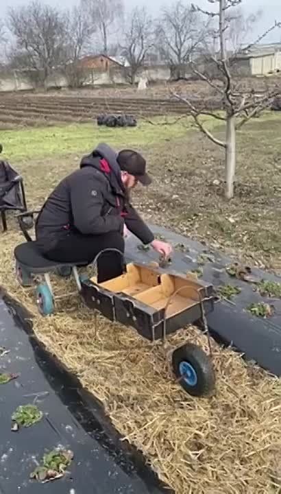    ,      