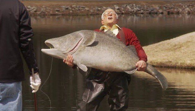 ������� ��������� ���������, ������� ���������� ������ � �������� � �������, ����� �������� �������