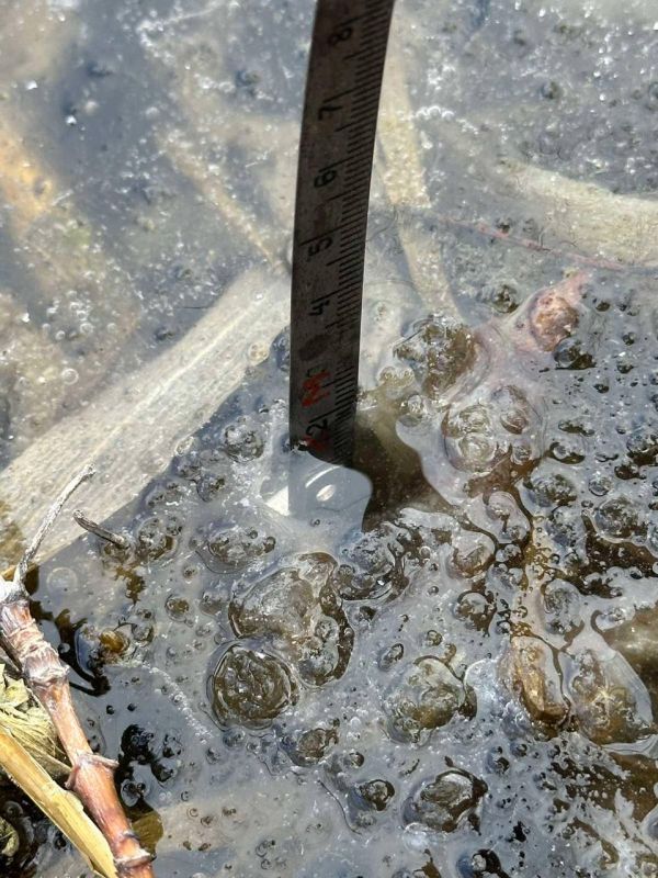 ����� � �������������� ����� �������