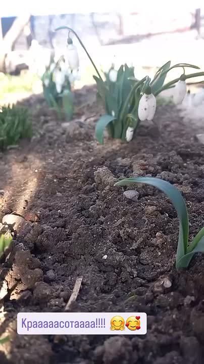 ������� ������ ������������ ������� � ���������