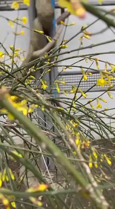 � ����� �� ������ ��������� ������ ������� ������ ������