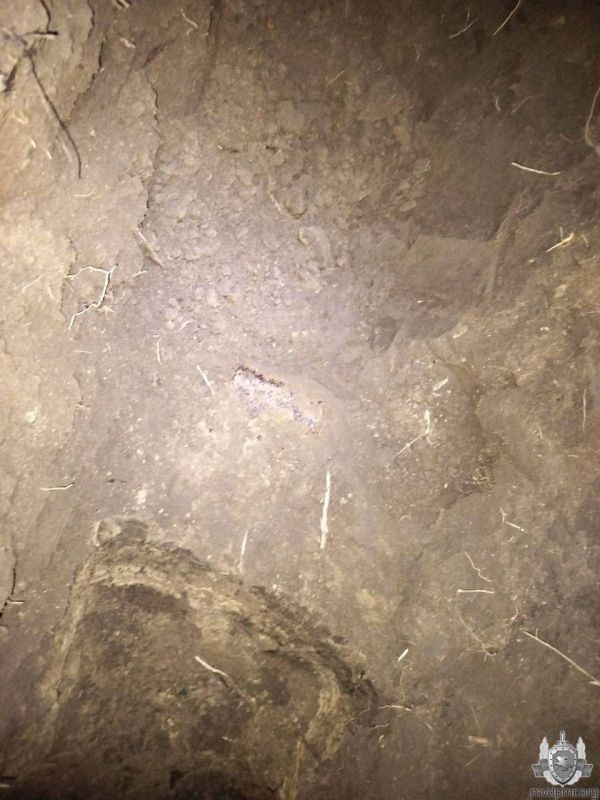 ����� 200 ����������� ������� ������������� ����� ����� � ����� � ��������