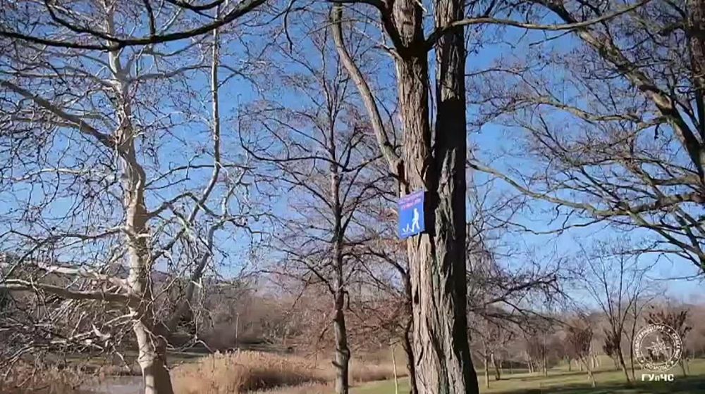 ���������, ������ ��! ��������� �������������!