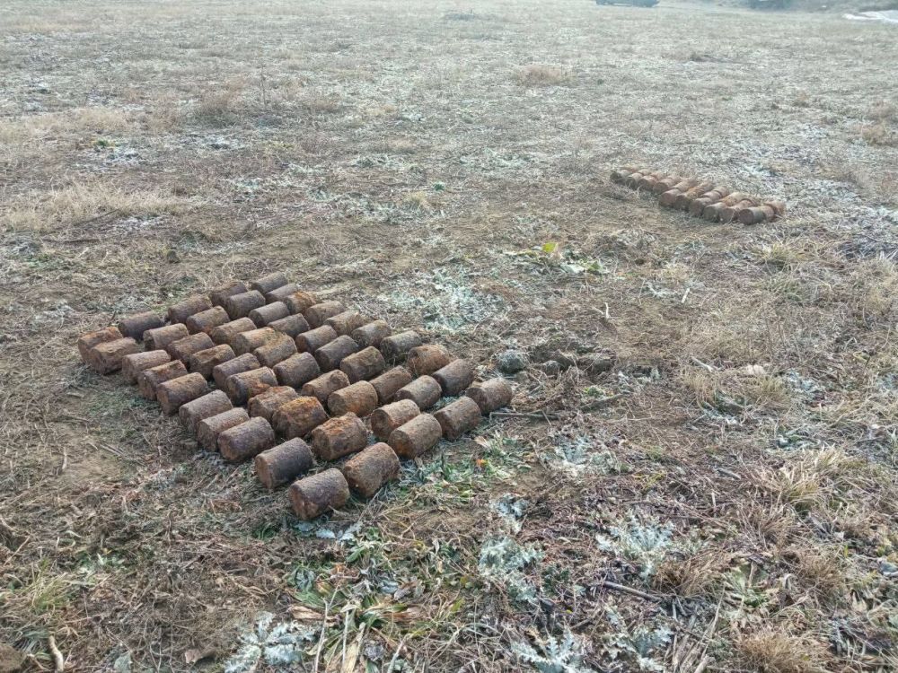 � �������� ����� ����� �������� ����������� ���