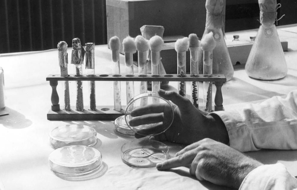 12 ������� 1941 ���� ���������� ������� ������� ��������� ��� ������� ��������