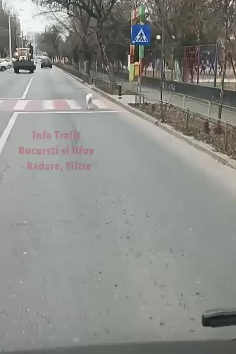 ��������� � ���������� ��������-������ ��������� �����, ��� ����� ������ ������� ����� ������ �� ���������